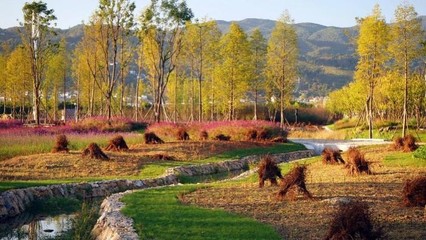 東方園林 向全能型生態環保企業邁進，持續深耕循環經濟與樹木種植經營